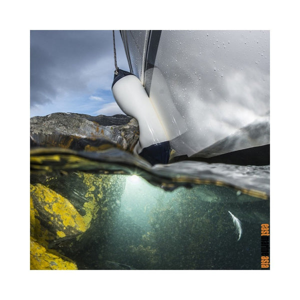 Polyform F Series Boat Fender (White Blue Top)