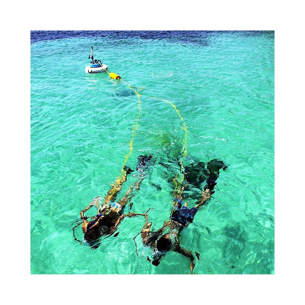 PowerDive PowerSnorkel Hookah Snorkelling & Scuba Dive System